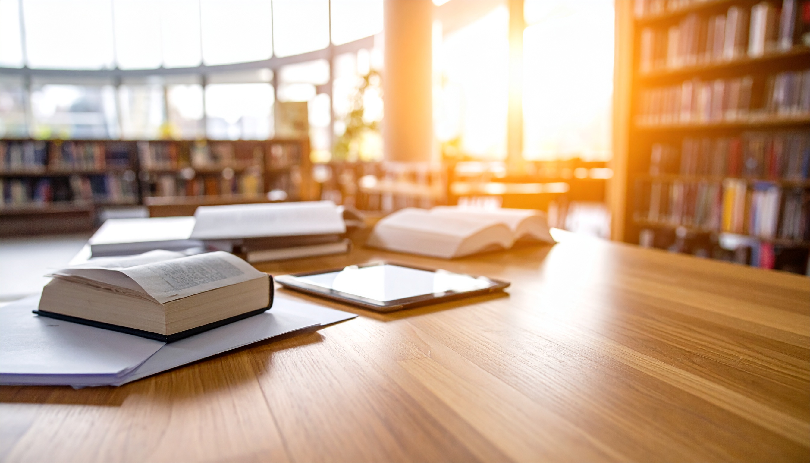 Bases Bibliográficas
